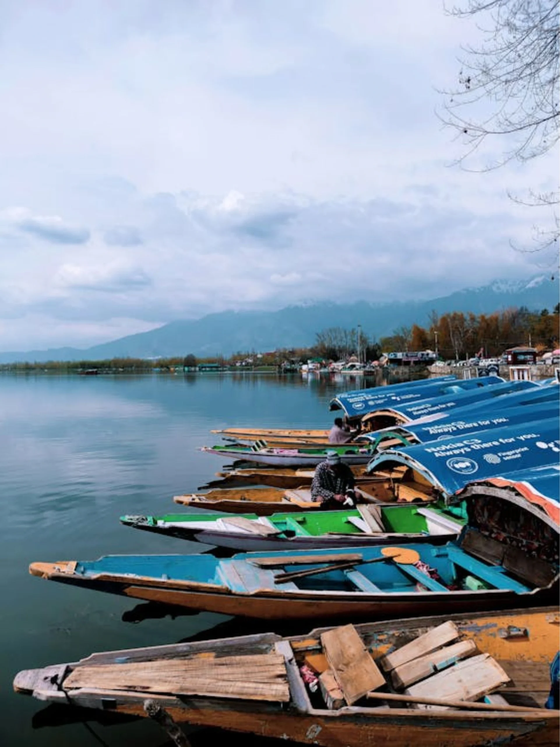 Best hotels in Srinagar kashmir