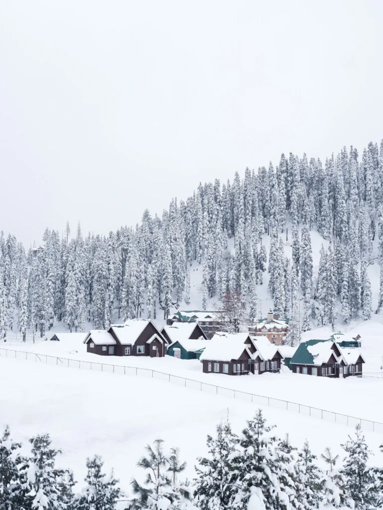 Best hotels in Srinagar kashmir